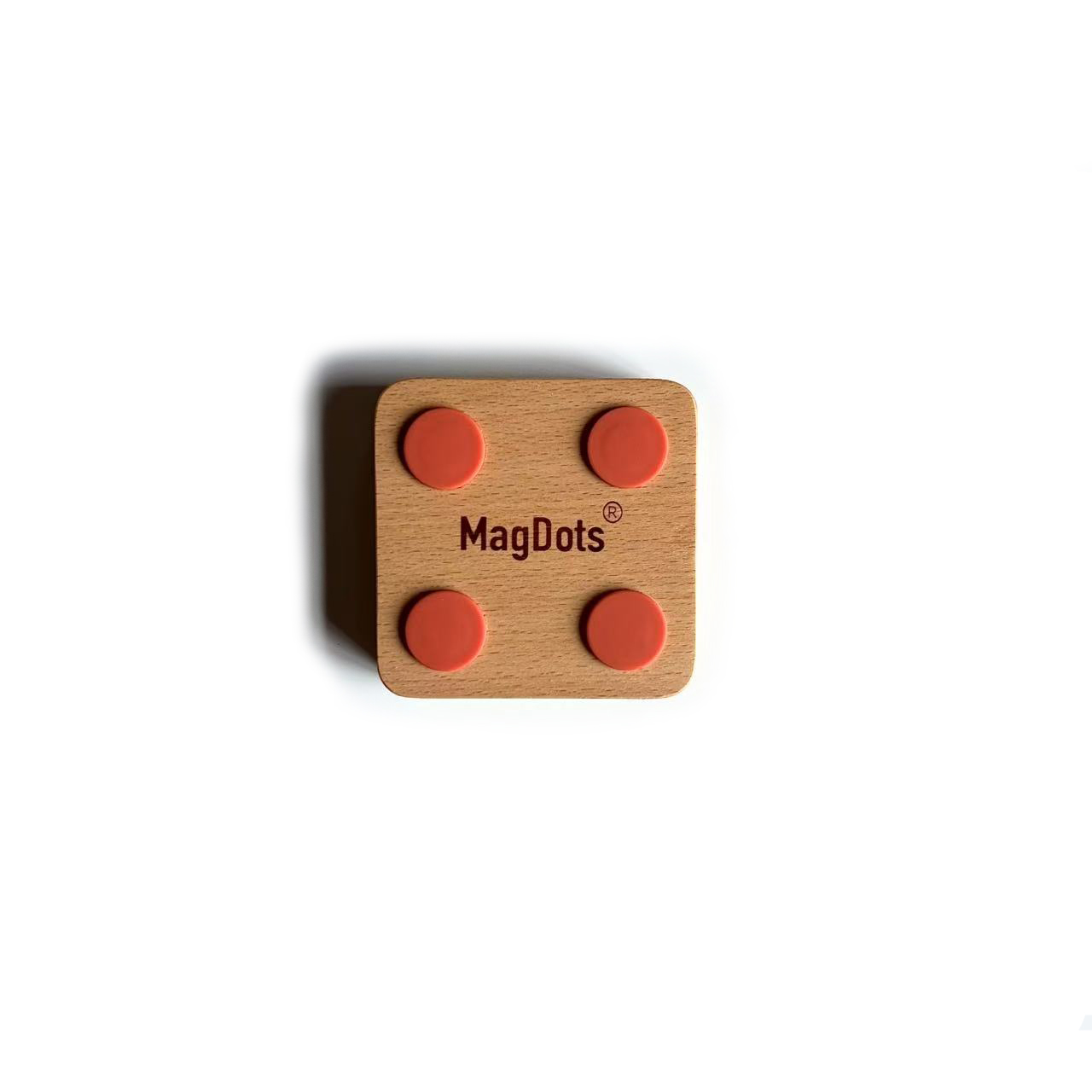 Mag02004
